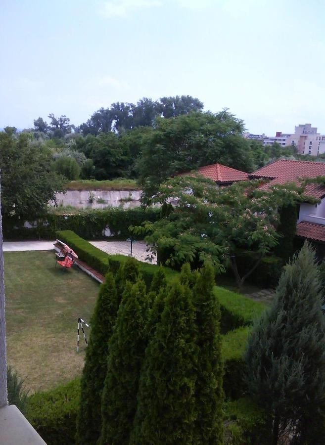 San Marco Кранево